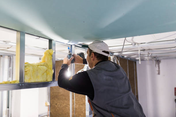 Best Professional Insulation Contractor  in Murfreesboro, AR